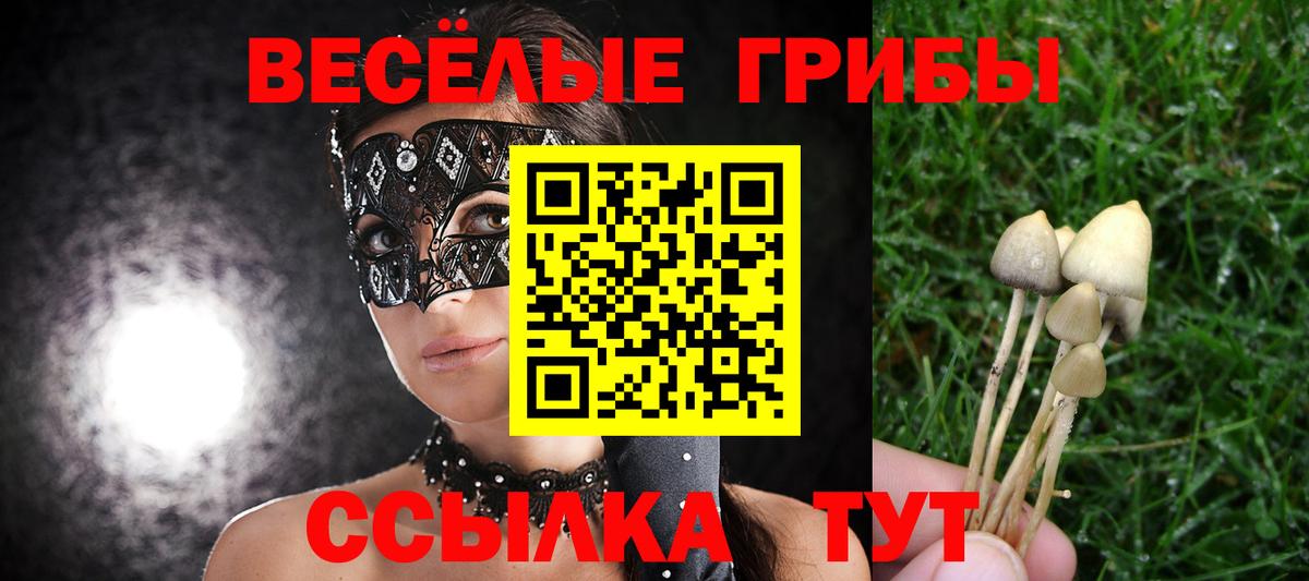Псилоцибиновые грибы Psilocybine cubensis Ишимбай