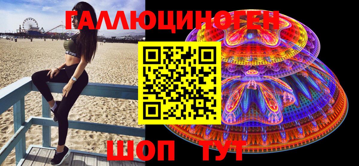 Псилоцибиновые грибы Cubensis  Вход с VPN  Псилоцибиновые грибы прущие грибы  Ишимбай 